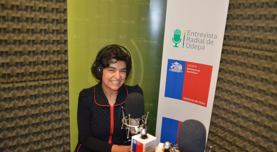 En la entrevista radial de Odepa, la agregada agrícola de Chile en Japón comenta sobre la importancia de este país para la agricultura