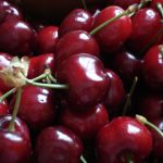 Estudio: Desarrollo de un Estudio para un Protocolo de Agricultura Sustentable