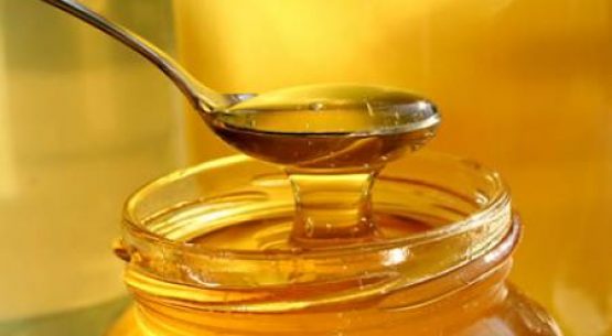 Ajustes y tendencias en los mercados de exportación para la miel chilena