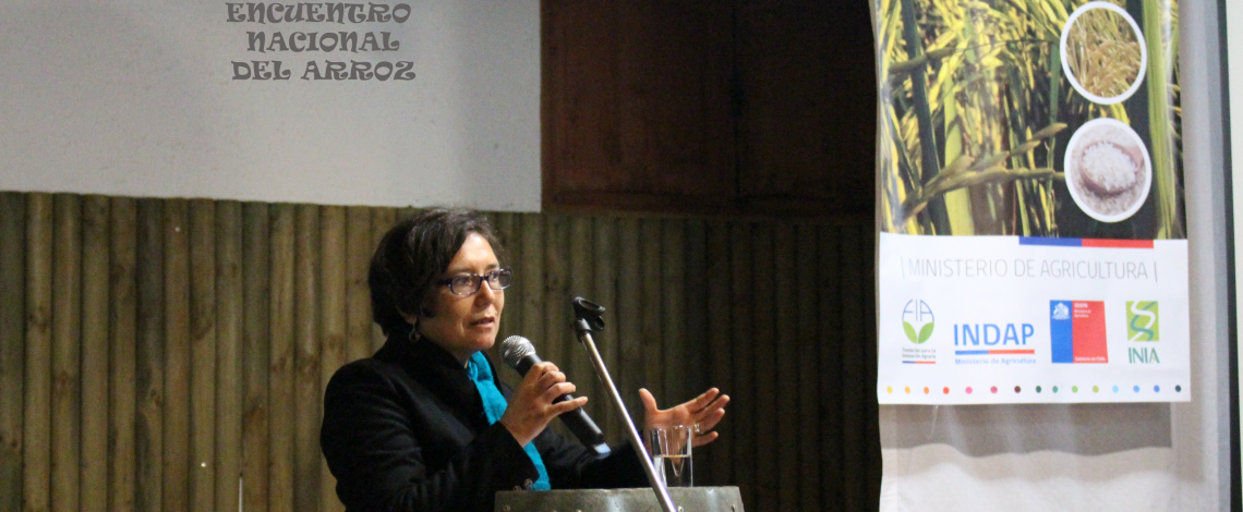Se realizó el Encuentro Nacional del Arroz, Innovando para el desarrollo