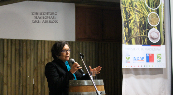 Se realizó el Encuentro Nacional del Arroz, Innovando para el desarrollo