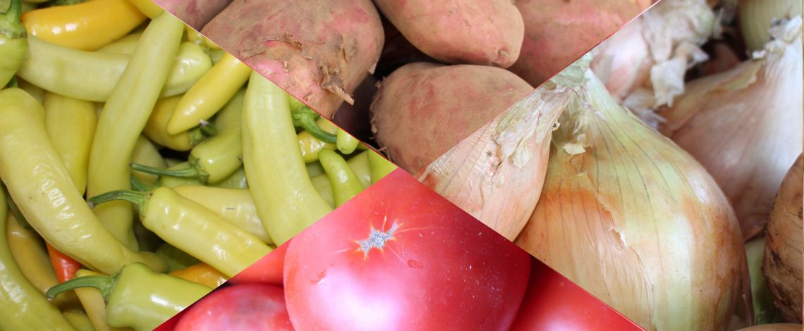 En La Vega Central, los  Ministros de Agricultura y Economía, el Director del Sernac y la Directora de Odepa realizaron el lanzamiento de la canasta dieciochera