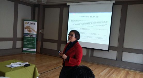La directora de Odepa expuso sobre la política triguera nacional