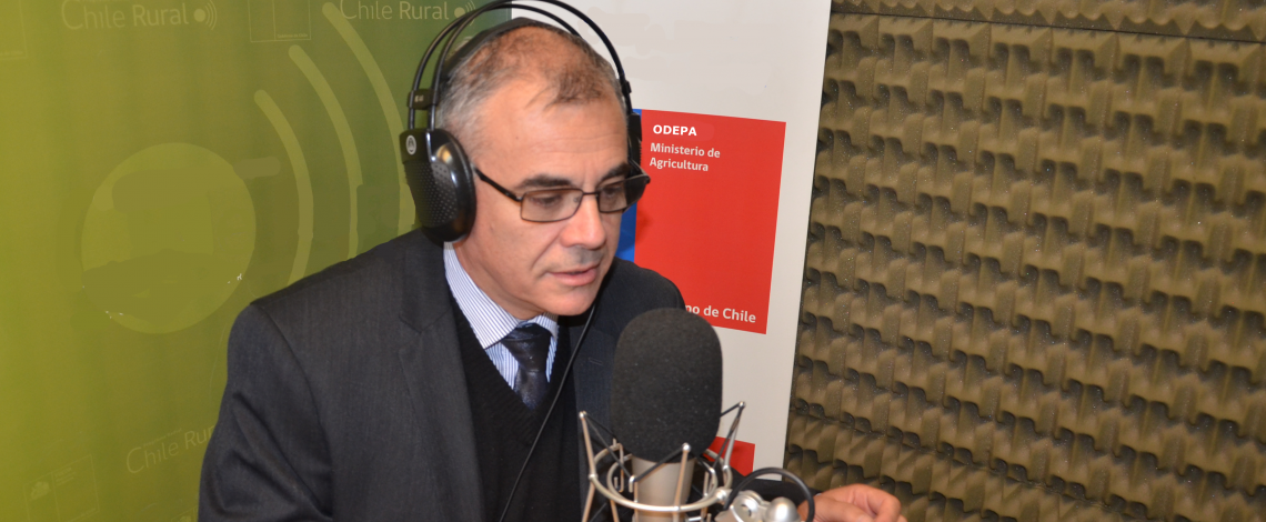 En la entrevista radial de Odepa, el agregado agrícola de Chile en India comenta sobre las oportunidades de negocio que se abren con ese país