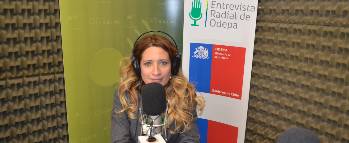 En la entrevista radial de Odepa, la agregada agrícola de Chile en Brasil entrega recomendaciones para exportar a ese país