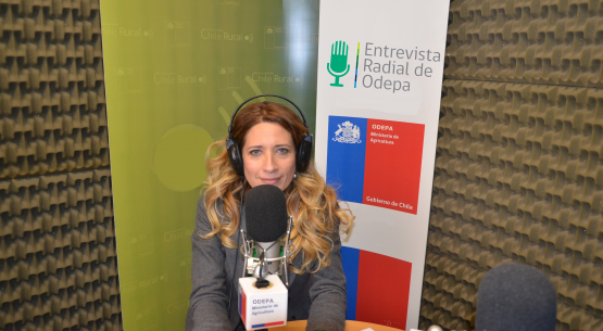 En la entrevista radial de Odepa, la agregada agrícola de Chile en Brasil entrega recomendaciones para exportar a ese país