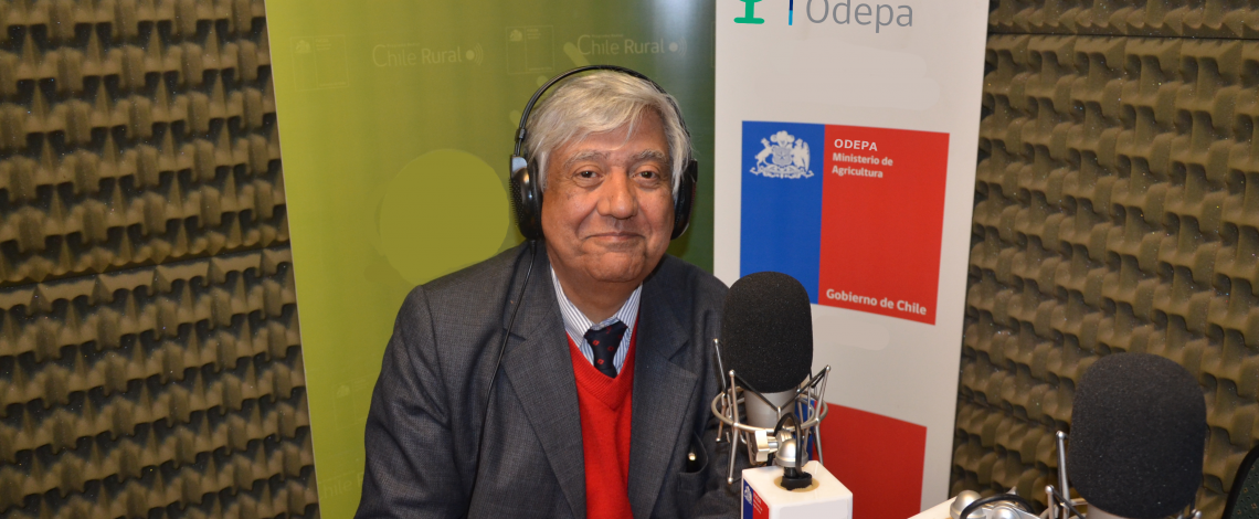 En la entrevista radial de Odepa, el agregado de Chile en Indonesia comenta sobre los requisitos religiosos para exportar a ese país