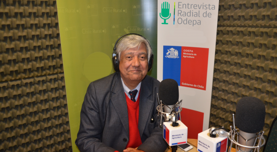 En la entrevista radial de Odepa, el agregado de Chile en Indonesia comenta sobre los requisitos religiosos para exportar a ese país