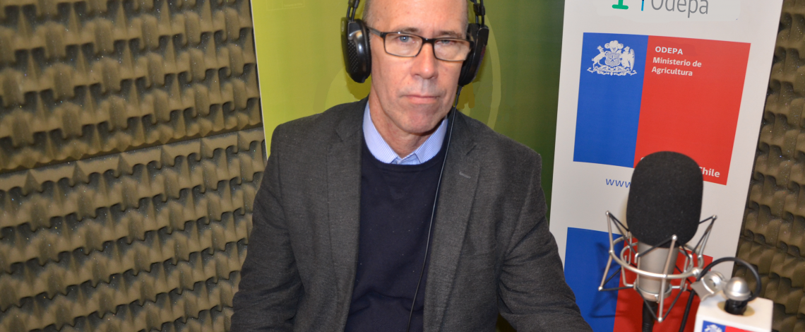 En la entrevista radial de Odepa, el agregado agrícola de Chile en México comenta sobre los requisitos para exportar a ese país