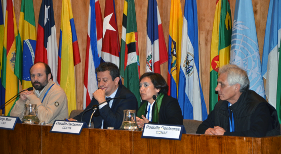 Actores forestales coinciden en cómo enfrentar el desafío del agua.