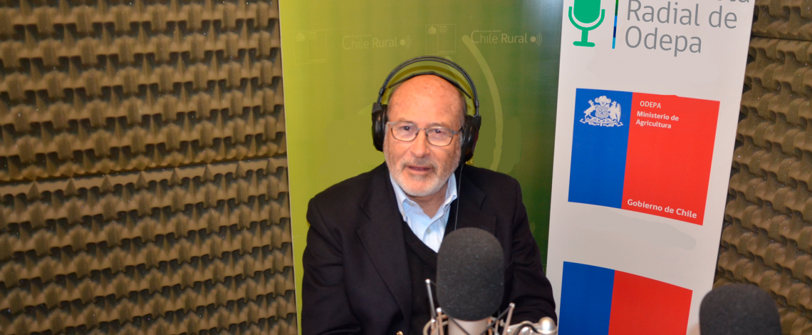 En la entrevista radial de Odepa, el director del SAG, Ángel Sartori, habla sobre el trabajo y los desafíos para mantener a Chile libre de plagas y enfermedades