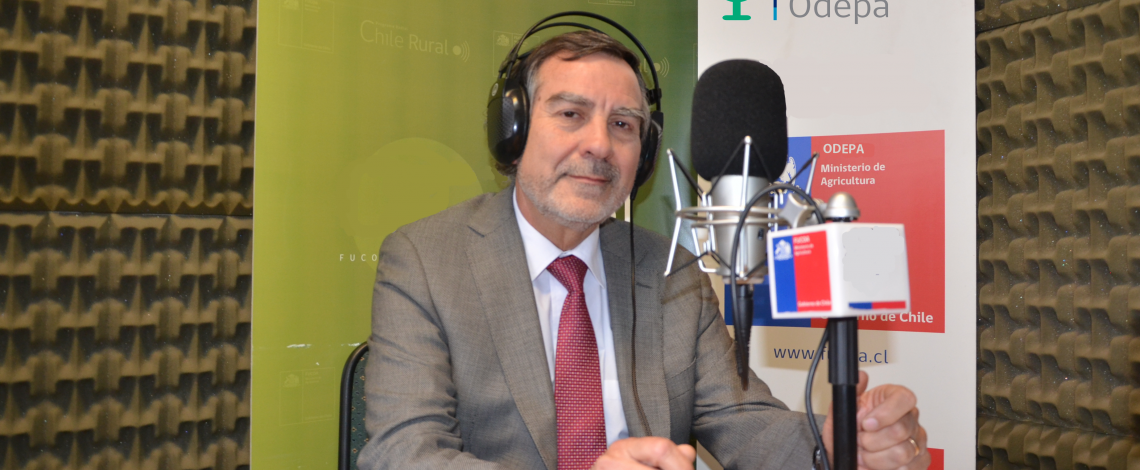 En la entrevista radial de Odepa, Alfonso Traub invita a seminario de Agroenergía