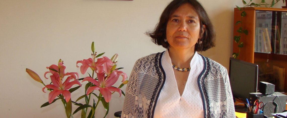 Exportaciones de maqui chileno crecieron 168% en enero-septiembre de 2015, comparado con igual período de 2014