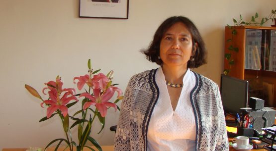 Exportaciones de maqui chileno crecieron 168% en enero-septiembre de 2015, comparado con igual período de 2014