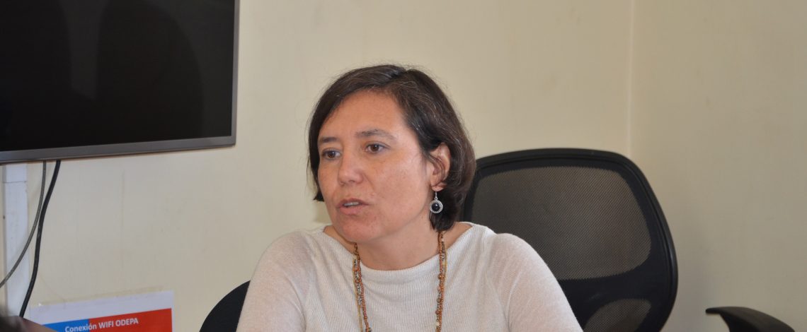 Se exportó quinua chilena a Arabia Saudita y Estados Unidos por USD 10.292 entre enero-octubre de 2015