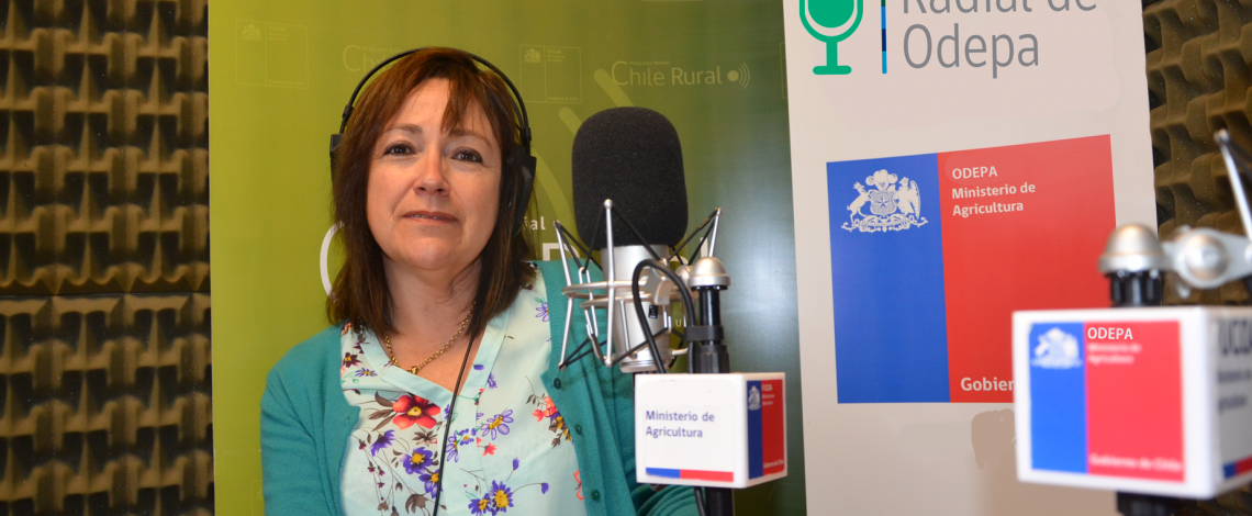 En la entrevista radial de Odepa, Laura Olea habla sobre la Cuenta Pública de Odepa 2015, que se presentará el 12 de abril