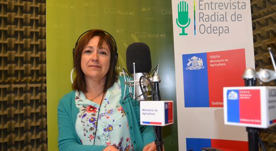 En la entrevista radial de Odepa, Laura Olea habla sobre la Cuenta Pública de Odepa 2015, que se presentará el 12 de abril