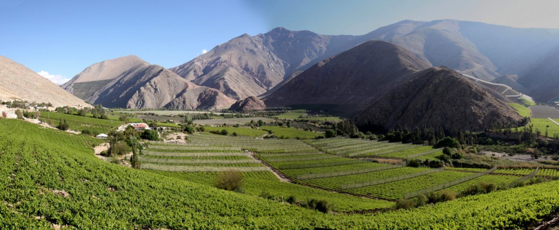 Reunión del Grupo del Trabajo del Pisco.