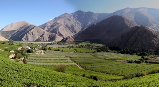 Reunión del Grupo del Trabajo del Pisco.