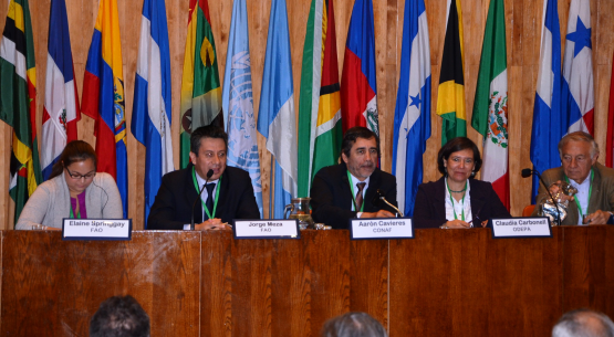 Consejo de Política Forestal recoge información sobre disponibilidad de agua