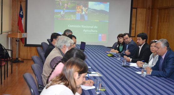 Hoy se reunió la Comisión Nacional Apícola
