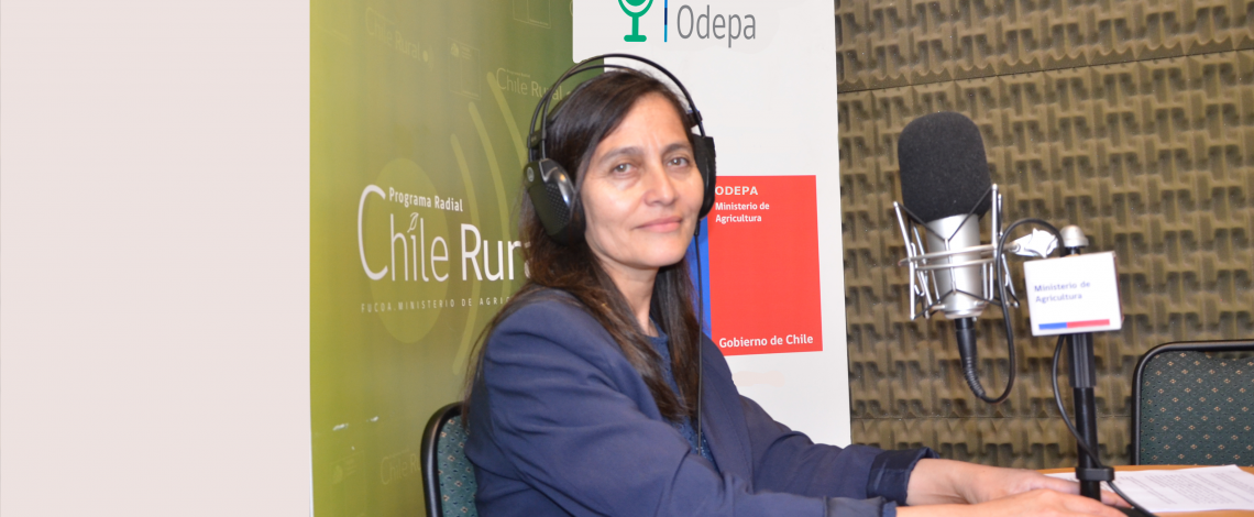 En la entrevista radial de Odepa, Liliana Yáñez analiza desde una perspectiva de género los catastros frutícolas