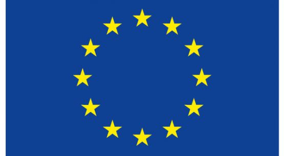 Modalidades de contratación en Chile relativas a la producción y comercialización de productos y derivados silvoagropecuarios