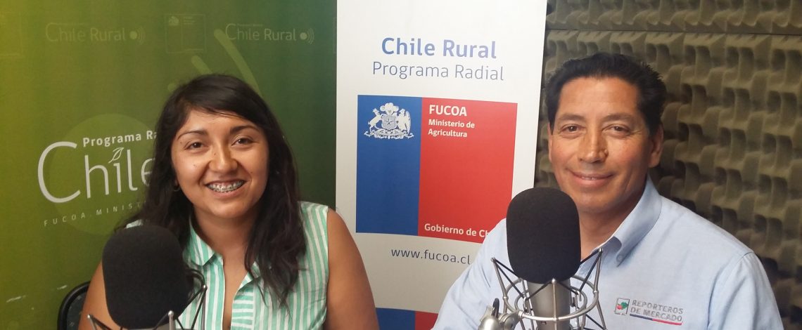 En la entrevista radial de Odepa, los reporteros de mercado de la Región Metropolitana