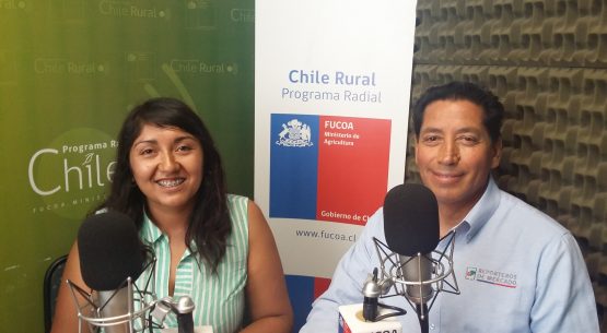 En la entrevista radial de Odepa, los reporteros de mercado de la Región Metropolitana