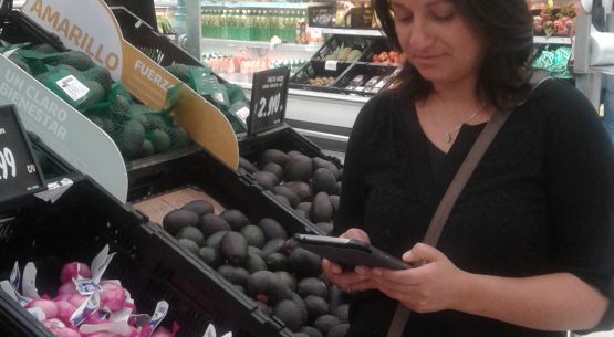 En la entrevista radial de Odepa, los reporteros de mercado de la Región de Valparaíso