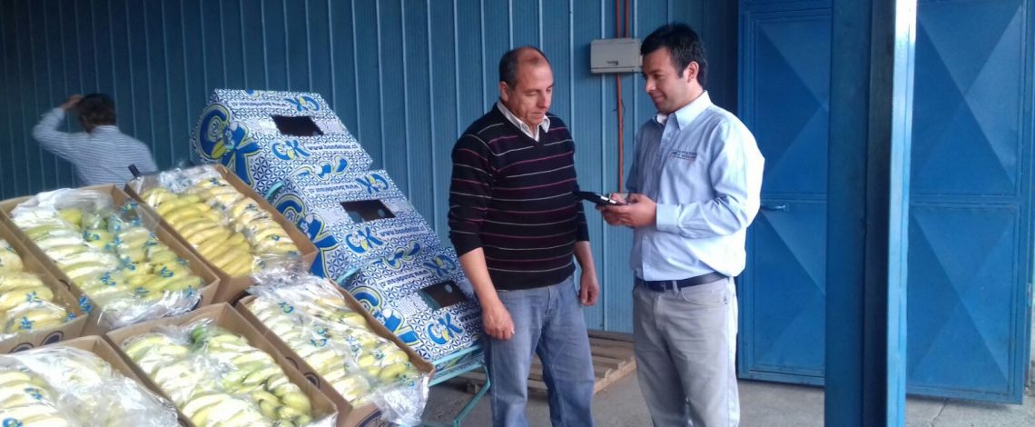 En la entrevista radial de Odepa, los reporteros de mercado de la Región del Maule