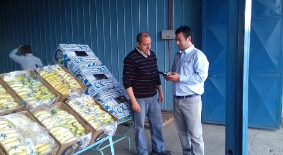 En la entrevista radial de Odepa, los reporteros de mercado de la Región del Maule