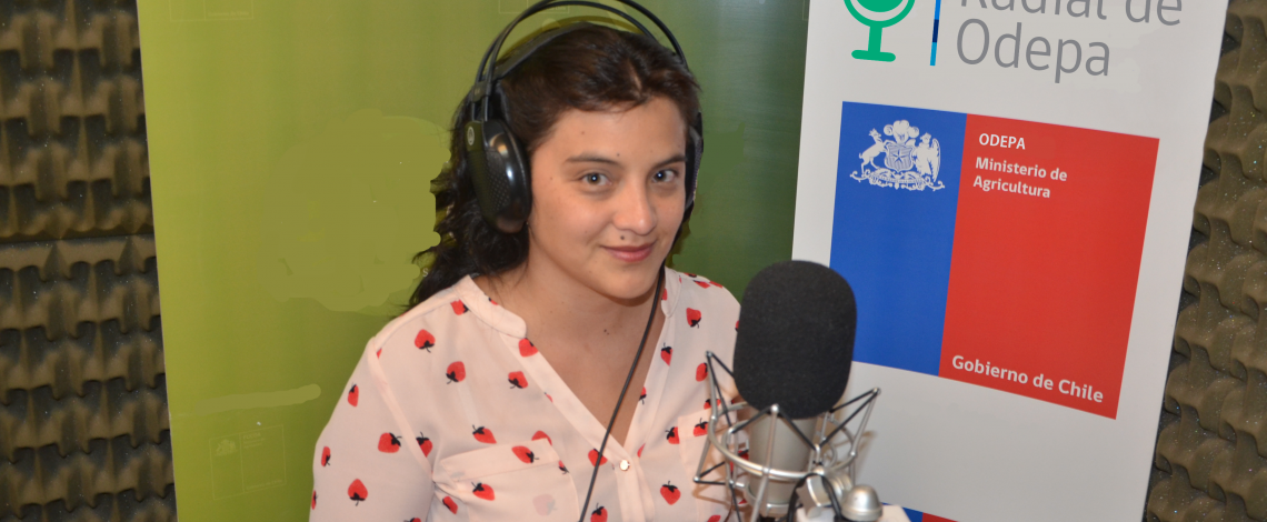 En la entrevista radial de Odepa, Andrea García habla sobre las modificaciones al Reglamento del Maíz