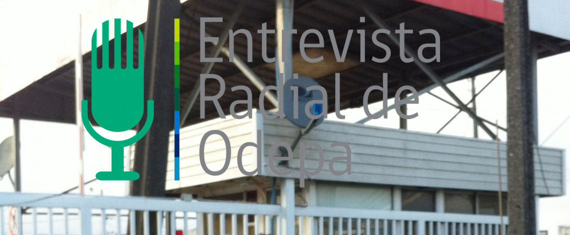 En la entrevista radial de Odepa, los reporteros de mercado del Gran Concepción
