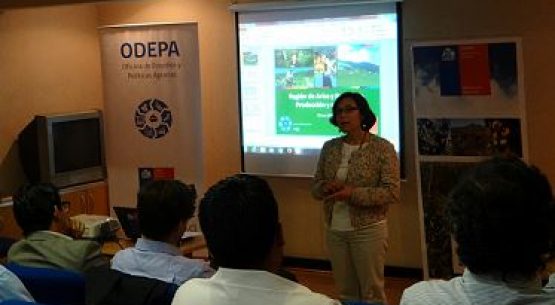 Seminario de Mercados Agrícolas en Arica