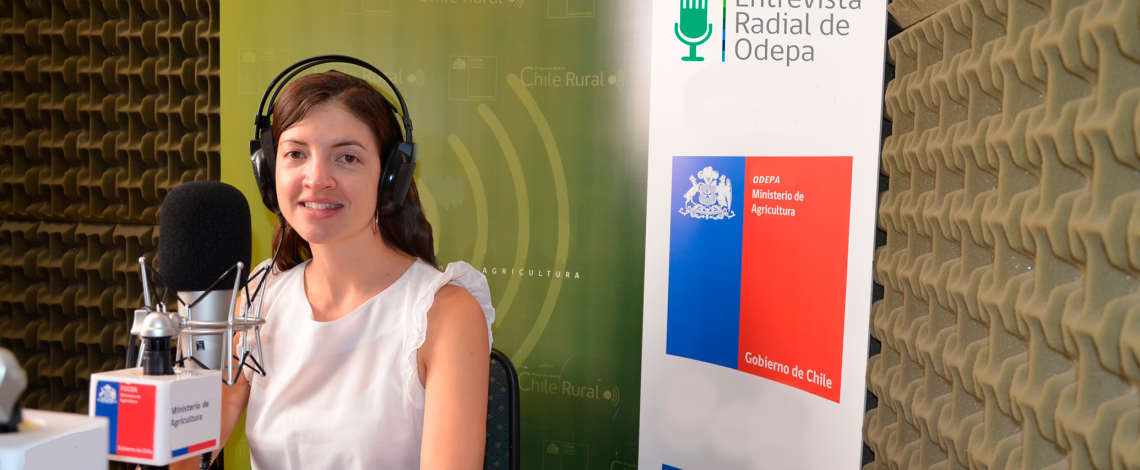 En la entrevista radial de Odepa Carolina Buzzetti habla sobre el reglamento de la uva vinífera