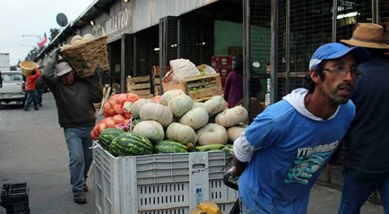 Programa de actividades para el desarrollo económico y social del canal agroalimentario tradicional