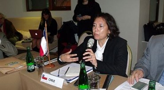 Comienza la XXXI Reunión del Consejo Agropecuario del Sur