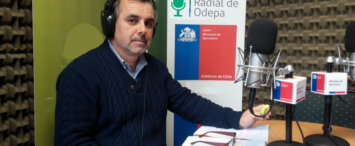 En la entrevista radial de Odepa, Marcelo Muñoz habla sobre la reunión la Comisión Nacional de Frutos Secos y Deshidratados