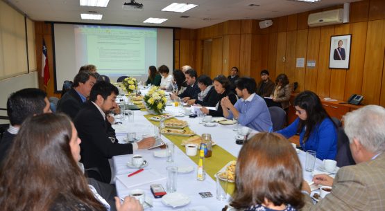 Profesionales de Odepa apoyarán técnicamente al Consejo de la Sociedad Civil.