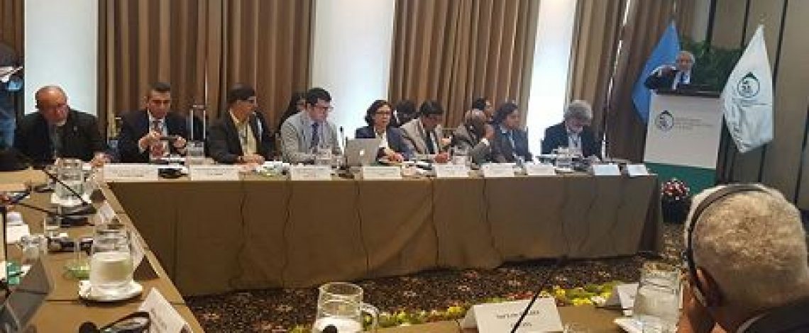 Directora de Odepa participó en reunión internacional de ministros y altas autoridades de agricultura