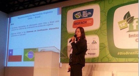 Odepa participó en el Seminario de Agricultura Orgánica y Sustentable desarrollado en el marco de la BioFach América Latina en Sao Paulo Brasil