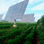 Coyuntura Internacional I: Mejores políticas para un sector agrícola productivo, sostenible y resiliente según países OCDE