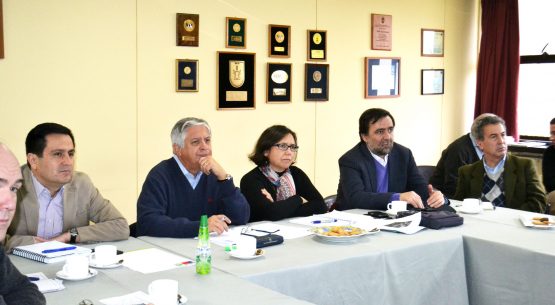 Comisión Nacional de la Carne analiza nuevo sistema de control de anabólico en primera sesión realizada en regiones