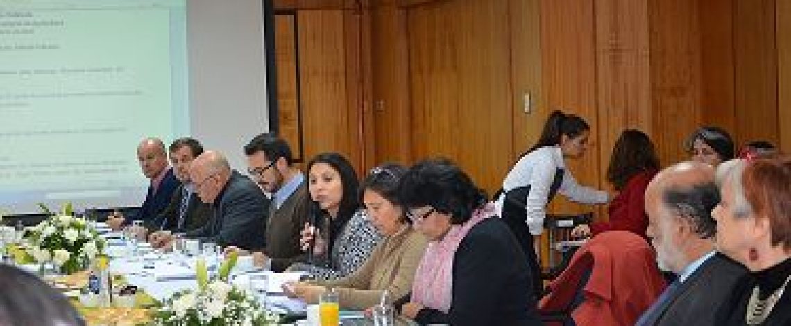 Se desarrolló una nueva sesión del Consejo de la Sociedad Civil