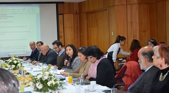 Se desarrolló una nueva sesión del Consejo de la Sociedad Civil