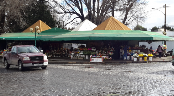 Odepa comenzó a publicar los precios mayoristas de Temuco