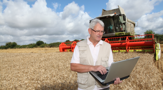 Se publicó nuevo informe de colocaciones bancarias en el sector silvoagropecuario