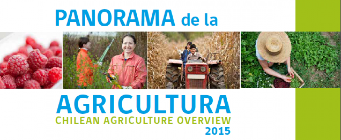 Nueva edición del libro “Panorama de la Agricultura Chilena”