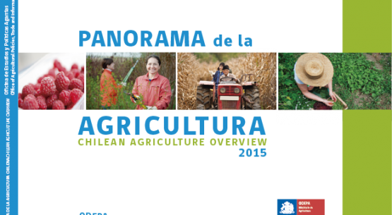 Panorama de la agricultura chilena 2015